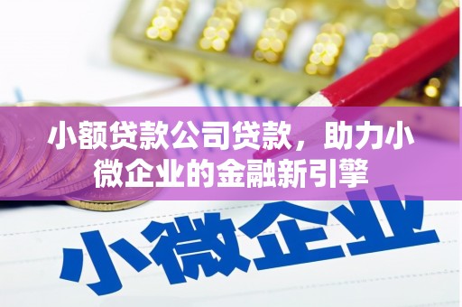 泽普小额贷款公司贷款，助力小微企业的金融新引擎