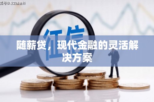 泽普随薪贷，现代金融的灵活解决方案