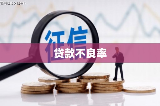 泽普贷款不良率