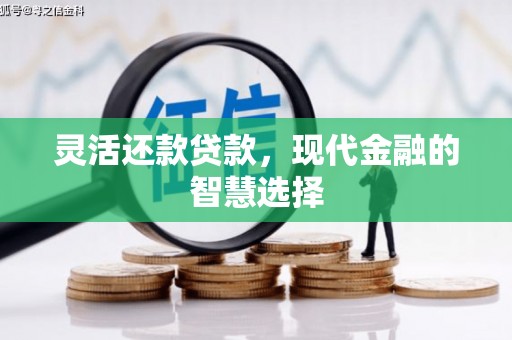 泽普灵活还款贷款，现代金融的智慧选择