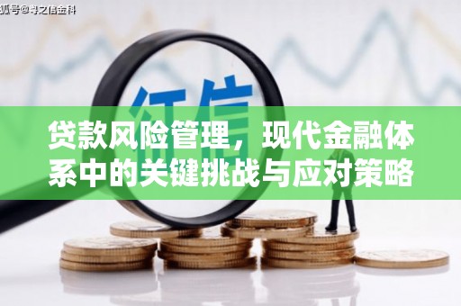 泽普贷款风险管理，现代金融体系中的关键挑战与应对策略