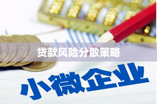 泽普贷款风险分散策略