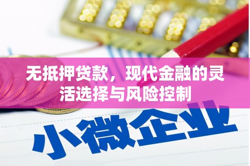 泽普无抵押贷款，现代金融的灵活选择与风险控制