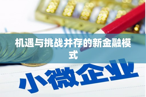泽普机遇与挑战并存的新金融模式