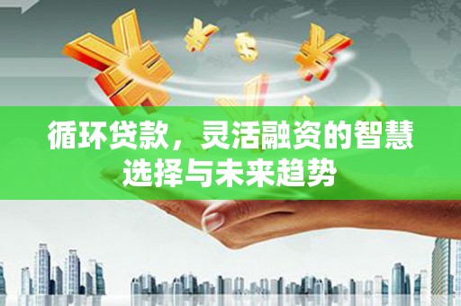 泽普循环贷款，灵活融资的智慧选择与未来趋势