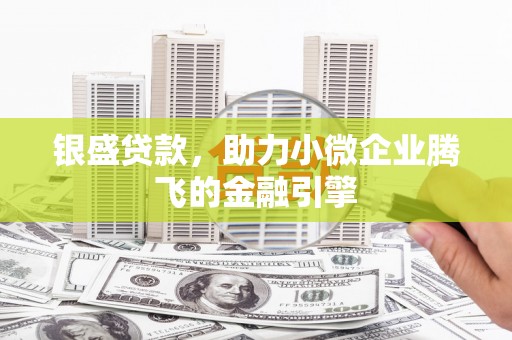泽普银盛贷款，助力小微企业腾飞的金融引擎