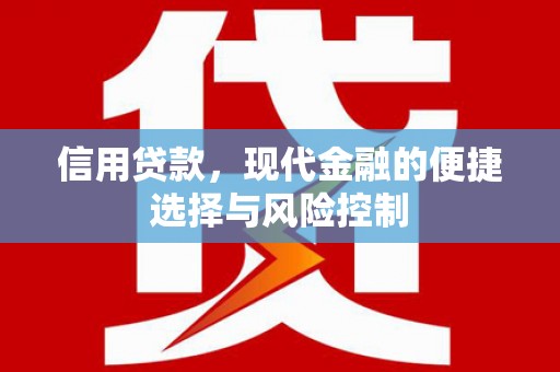 泽普信用贷款，现代金融的便捷选择与风险控制