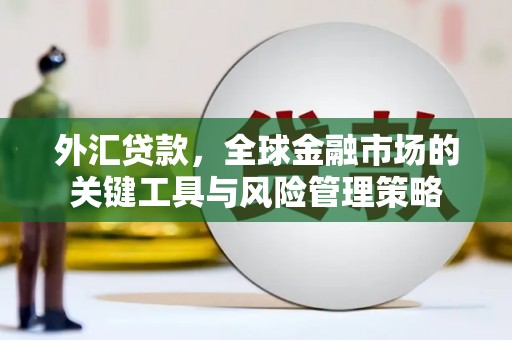 泽普外汇贷款，全球金融市场的关键工具与风险管理策略