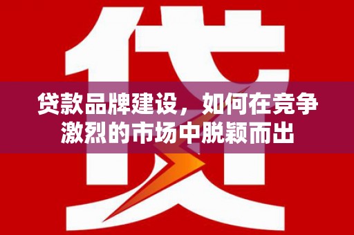 泽普贷款品牌建设，如何在竞争激烈的市场中脱颖而出