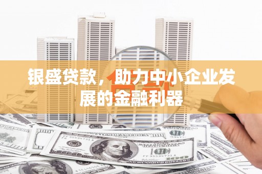 泽普银盛贷款，助力中小企业发展的金融利器