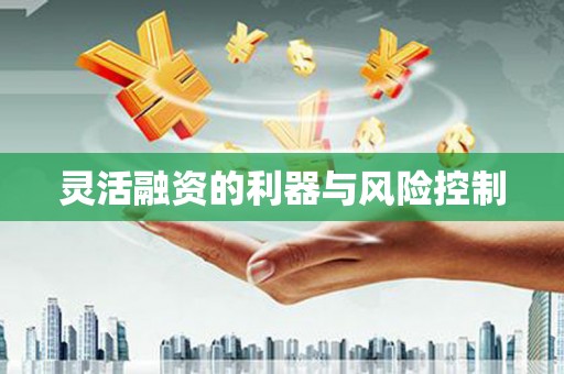 泽普灵活融资的利器与风险控制