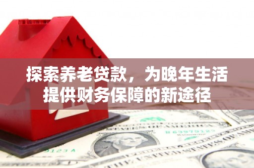 泽普探索养老贷款，为晚年生活提供财务保障的新途径