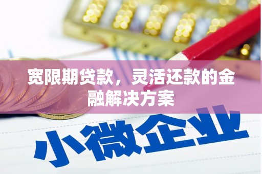 泽普宽限期贷款，灵活还款的金融解决方案