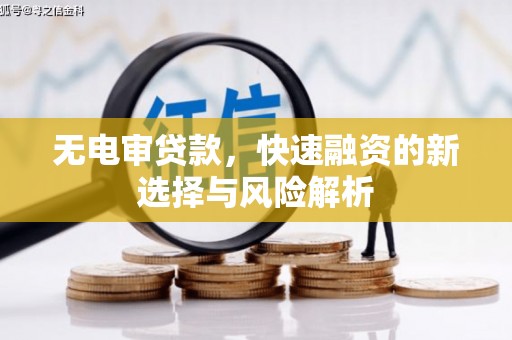 泽普无电审贷款，快速融资的新选择与风险解析