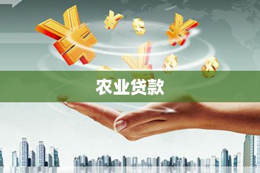 泽普农业贷款