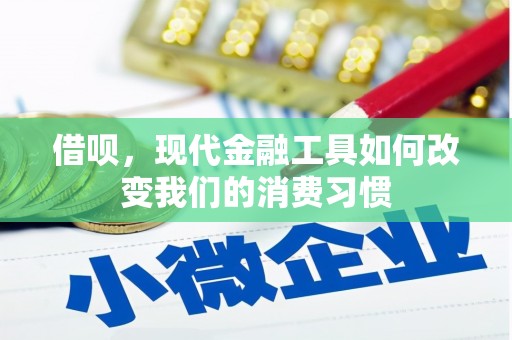 泽普借呗，现代金融工具如何改变我们的消费习惯