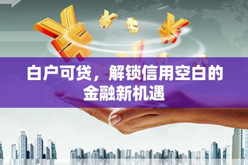 泽普白户可贷，解锁信用空白的金融新机遇