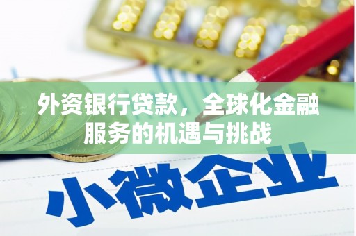 泽普外资银行贷款，全球化金融服务的机遇与挑战