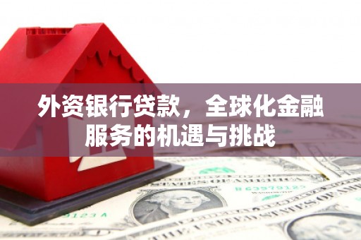 泽普外资银行贷款，全球化金融服务的机遇与挑战