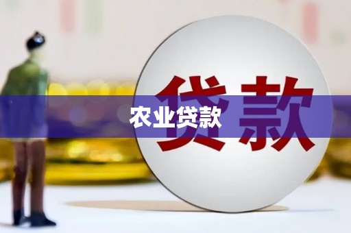泽普农业贷款