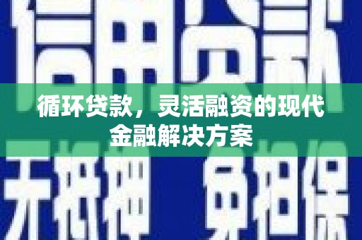 泽普循环贷款，灵活融资的现代金融解决方案