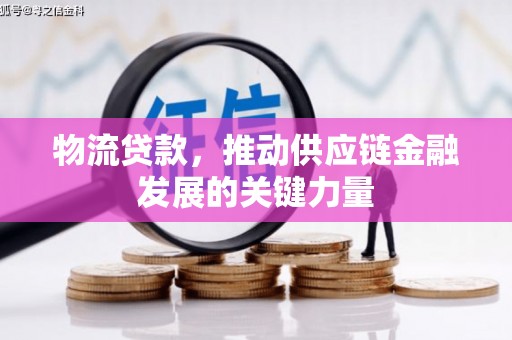 泽普物流贷款，推动供应链金融发展的关键力量