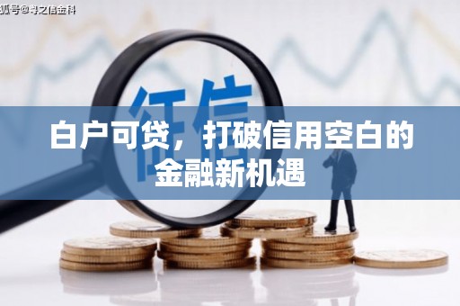 泽普白户可贷，打破信用空白的金融新机遇