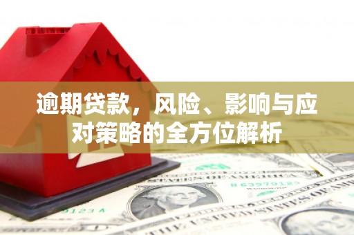 泽普逾期贷款，风险、影响与应对策略的全方位解析