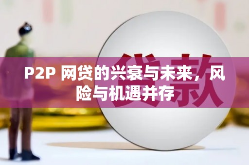 泽普P2P 网贷的兴衰与未来，风险与机遇并存