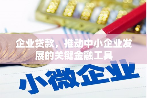 泽普企业贷款，推动中小企业发展的关键金融工具