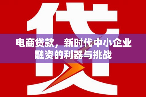 泽普电商贷款，新时代中小企业融资的利器与挑战