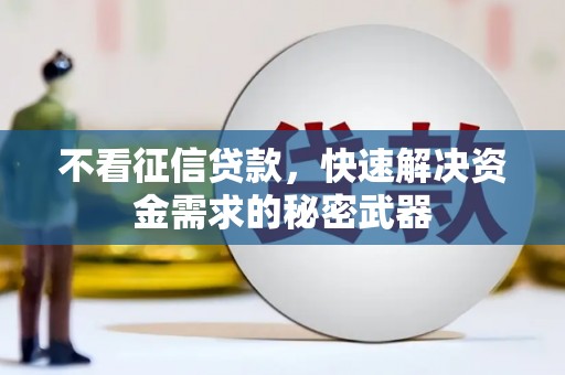 泽普不看征信贷款，快速解决资金需求的秘密武器