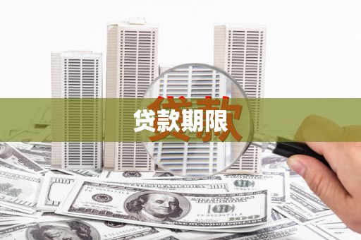 泽普贷款期限
