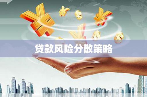 泽普贷款风险分散策略