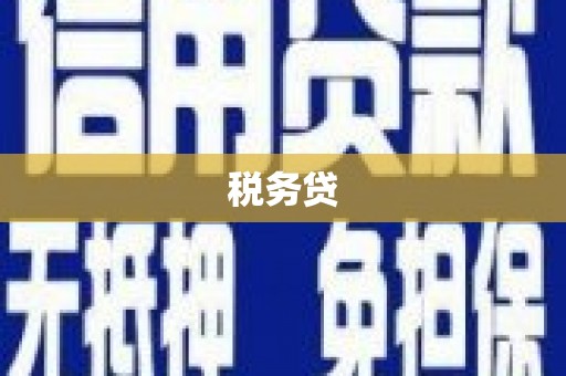 泽普税务贷