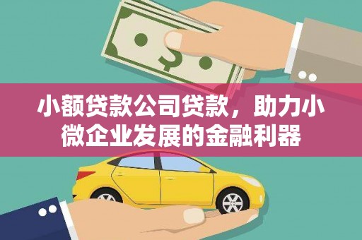 泽普小额贷款公司贷款，助力小微企业发展的金融利器