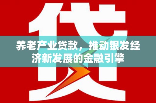 泽普养老产业贷款，推动银发经济新发展的金融引擎
