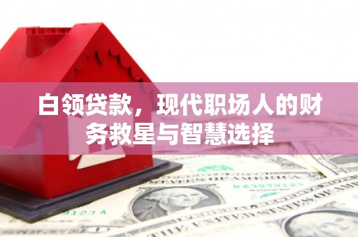 泽普白领贷款，现代职场人的财务救星与智慧选择