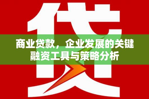 泽普商业贷款，企业发展的关键融资工具与策略分析