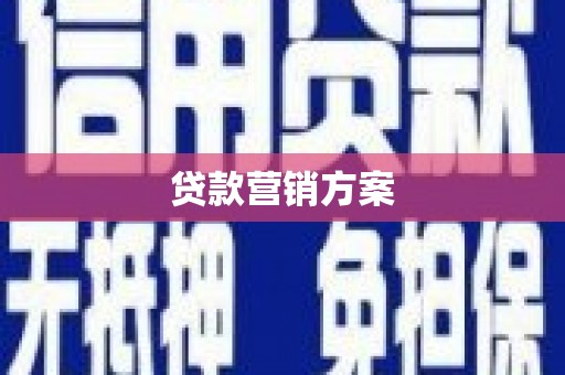 泽普贷款营销方案