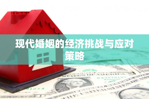 泽普现代婚姻的经济挑战与应对策略