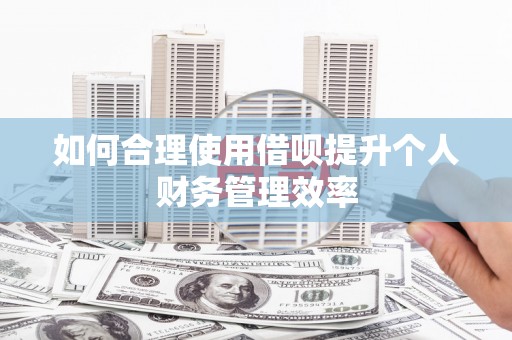 泽普如何合理使用借呗提升个人财务管理效率