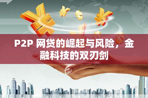 泽普P2P 网贷的崛起与风险，金融科技的双刃剑