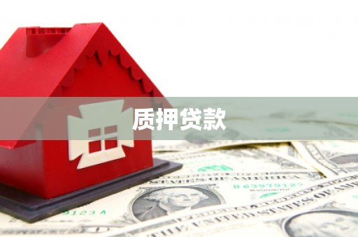 泽普质押贷款