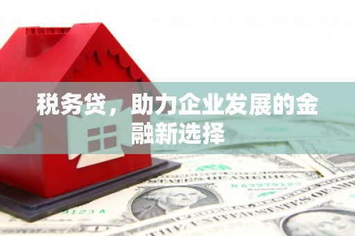 泽普税务贷，助力企业发展的金融新选择