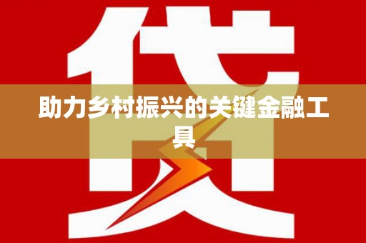 泽普助力乡村振兴的关键金融工具