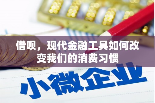 泽普借呗，现代金融工具如何改变我们的消费习惯