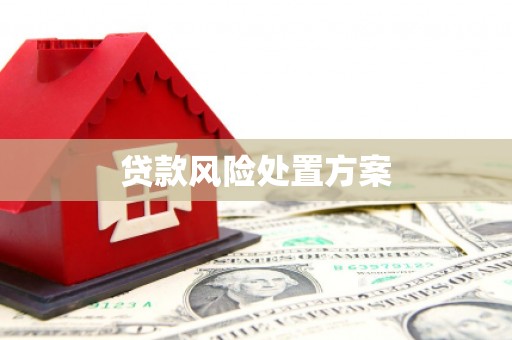 泽普贷款风险处置方案