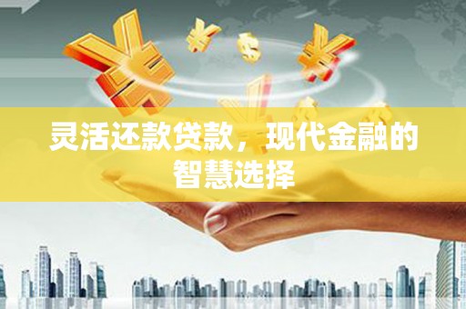 泽普灵活还款贷款，现代金融的智慧选择