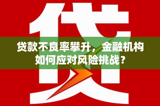 泽普贷款不良率攀升，金融机构如何应对风险挑战？